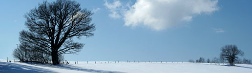 Providence Adolescent Eating Disorders Program