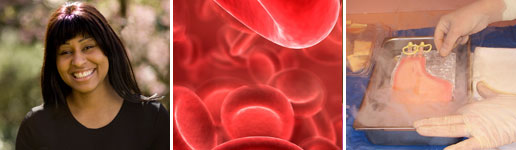 Providence Autologous Stem Cell Transplant Program