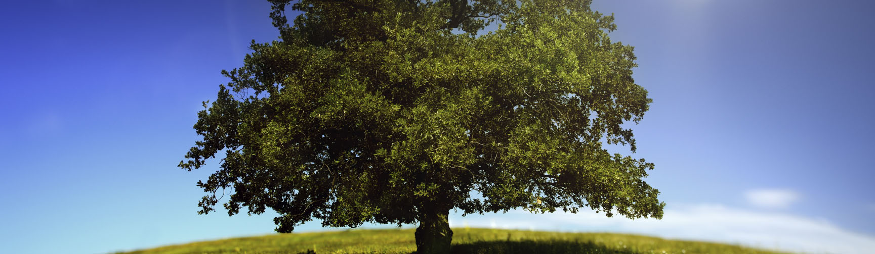 Providence Behavioral Health Adult Inpatient Treatment