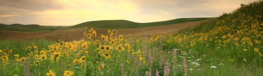 Providence Behavioral Health