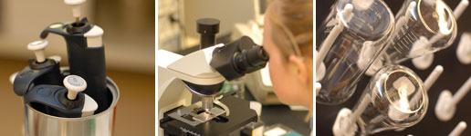 Providence Biotherapy Program