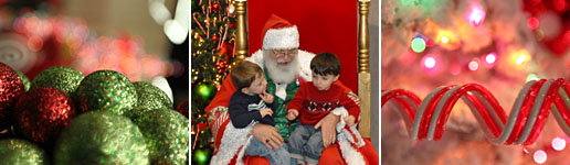 Providence Festival of Trees