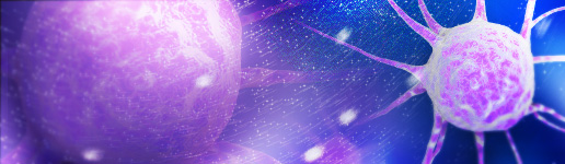 Providence Cancer Registry