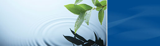 Providence Home Health Palliative Care