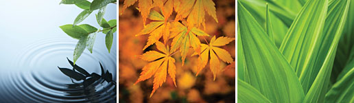 Providence Home Services