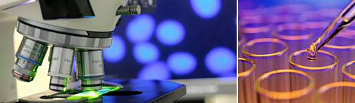 Providence Laboratory Services