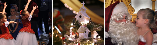 Providence Festival of Trees – Medford