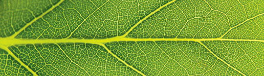 Providence Connections