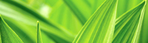 Providence Home Health