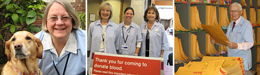 Providence Volunteering