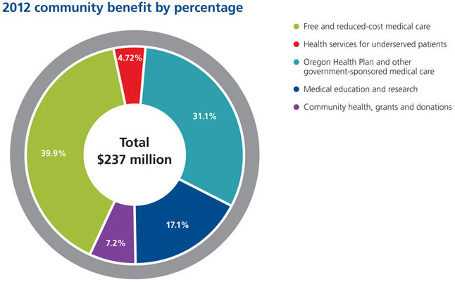 2013 pie chart